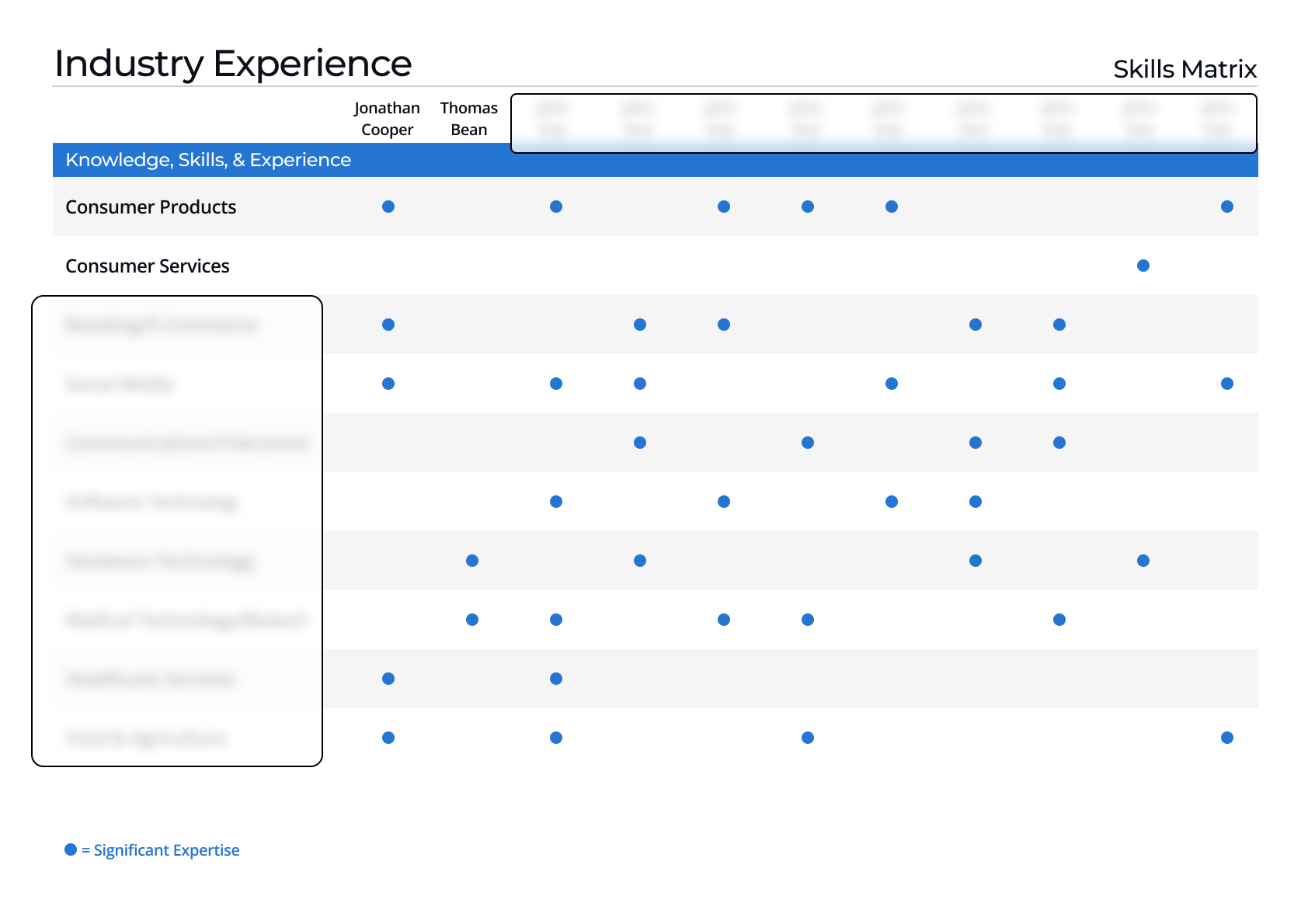 Filler Industry Experience